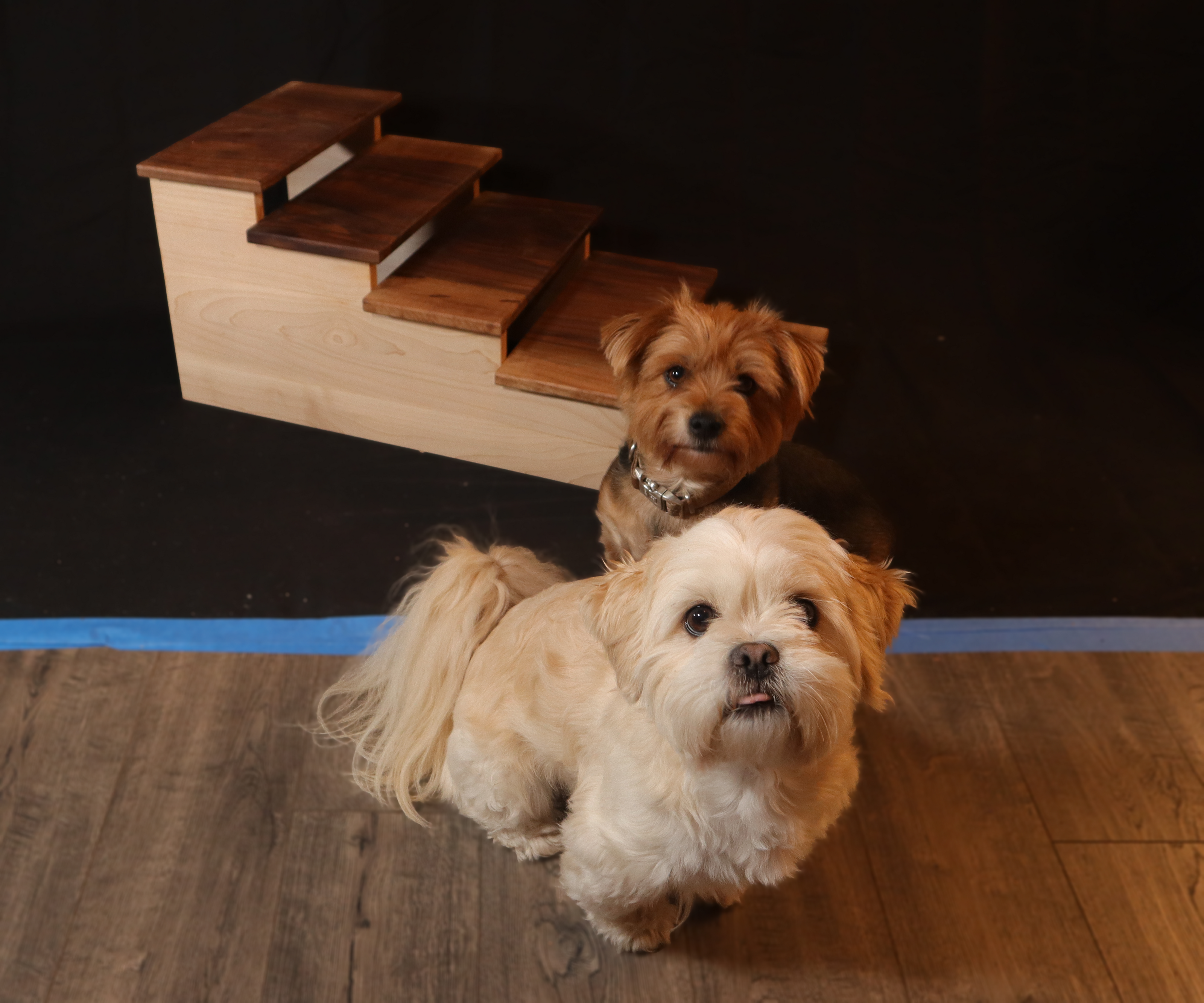 Five Dogs Elevated Pet Steps – Handcrafted Walnut & Maple Wooden Pet Stairs – Stylish & Durable Steps for Dogs, Cats & Small Pets