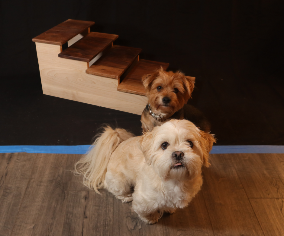 Five Dogs Elevated Pet Steps – Handcrafted Walnut & Maple Wooden Pet Stairs – Stylish & Durable Steps for Dogs, Cats & Small Pets