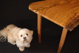 SOLD- Pistachio & Eucalyptus Live Edge Coffee Table