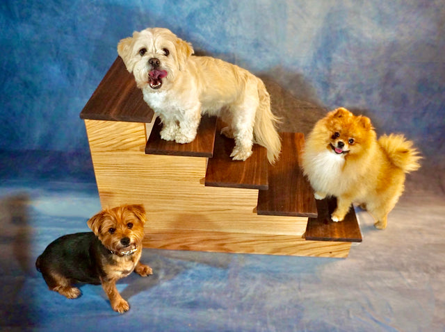 Handmade XL Wooden Pet Stairs – Luxury Walnut & Oak Steps for Large Dogs, Cats & Pets | Sturdy, Safe & Stylish Ramp Alternative