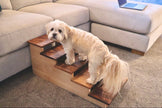 Five Dogs Elevated Pet Steps – Handcrafted Walnut & Maple Wooden Pet Stairs – Stylish & Durable Steps for Dogs, Cats & Small Pets
