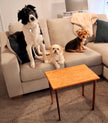 Curly Cherry Coffee Table – Solid Wood
