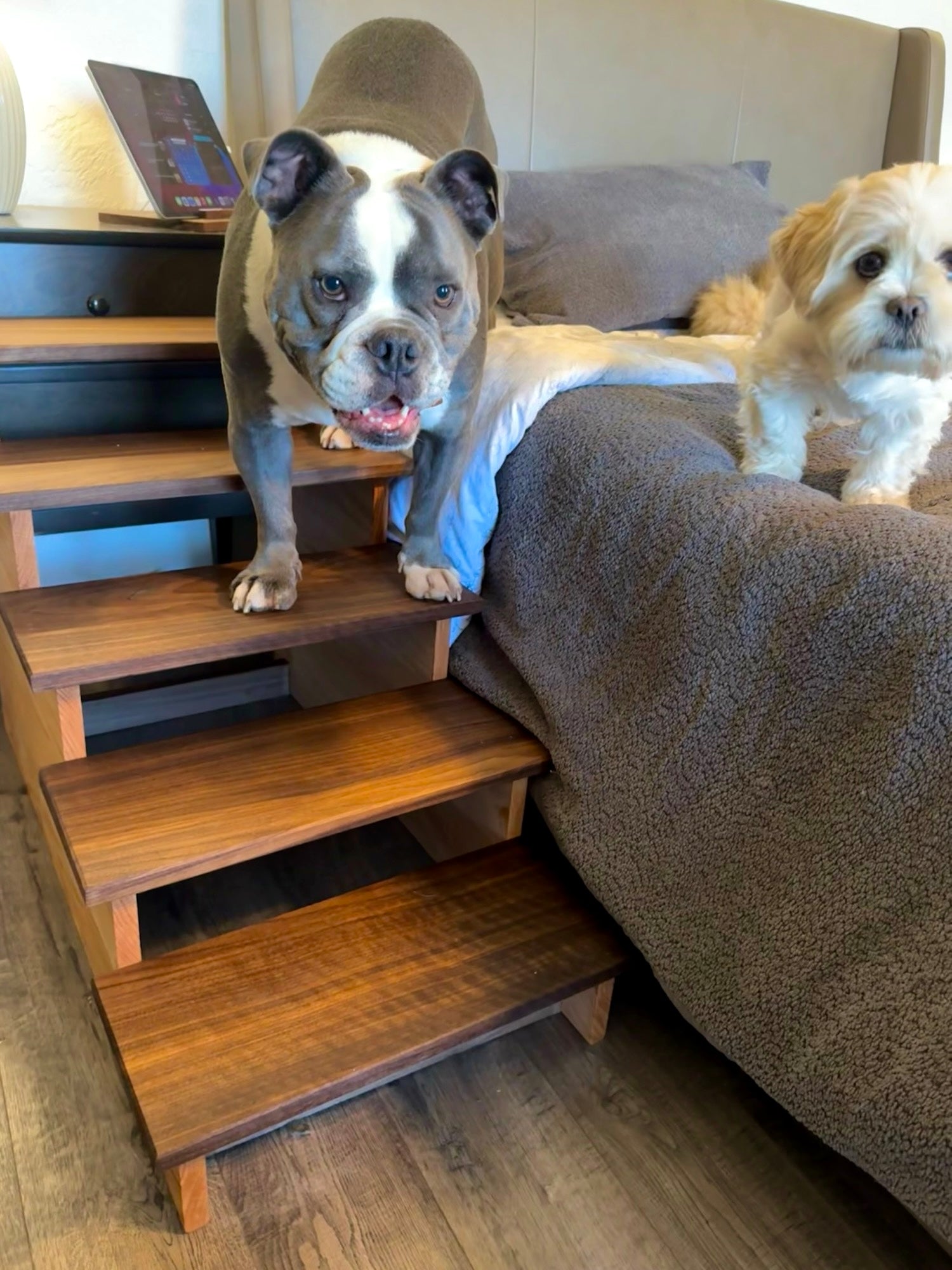 Handmade XL Wooden Pet Stairs – Luxury Walnut & Oak Steps for Large Dogs, Cats & Pets | Sturdy, Safe & Stylish Ramp Alternative
