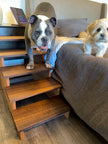 Handmade XL Wooden Pet Stairs – Luxury Walnut & Oak Steps for Large Dogs, Cats & Pets | Sturdy, Safe & Stylish Ramp Alternative