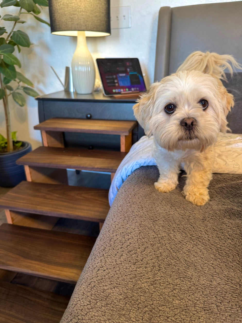 Handmade XL Wooden Pet Stairs – Luxury Walnut & Oak Steps for Large Dogs, Cats & Pets | Sturdy, Safe & Stylish Ramp Alternative