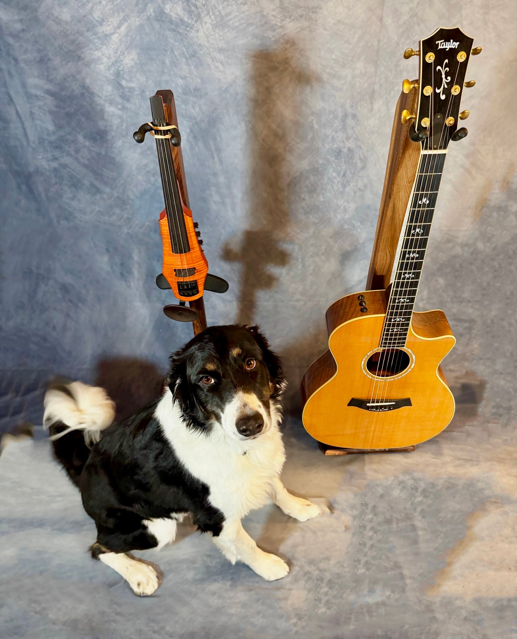 Handmade Northern Elm & Walnut Instrument Stand – Modern Wooden Display for Guitars, Violins, Cellos and More | Luxury Music Gift