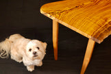SOLD- Pistachio Live Edge Coffee Table – Luxury Minimalist Handcrafted Wood Statement Piece